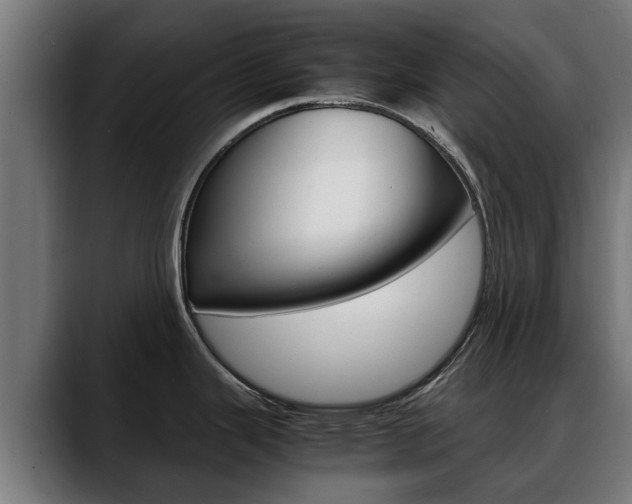X0000088641343200705250911