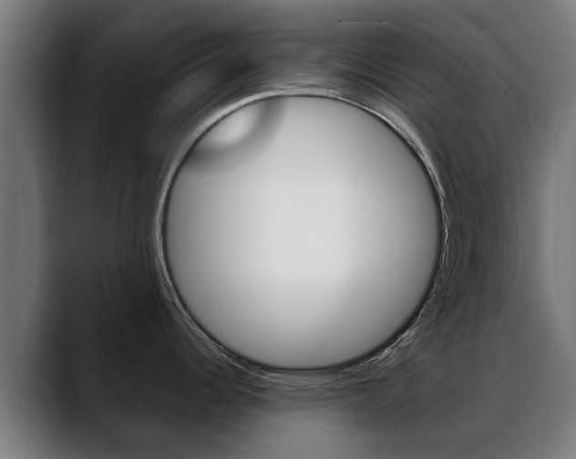 X0000088641344200705250911