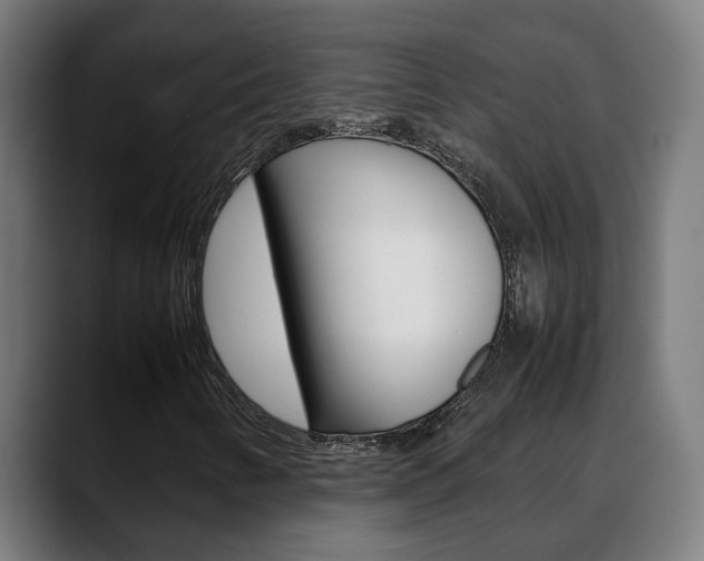 X0000088641346200705250910