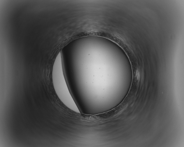 X0000088641348200705250910