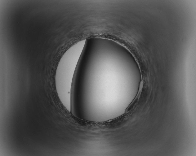 X0000088641349200705250910