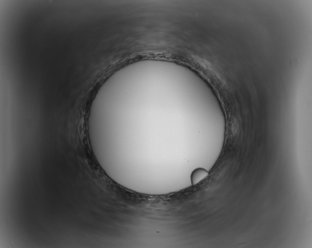 X0000088641350200705250910