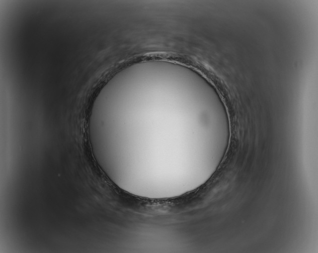 X0000088641351200705250910