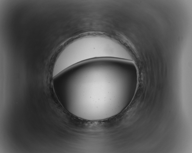 X0000088641352200705250910
