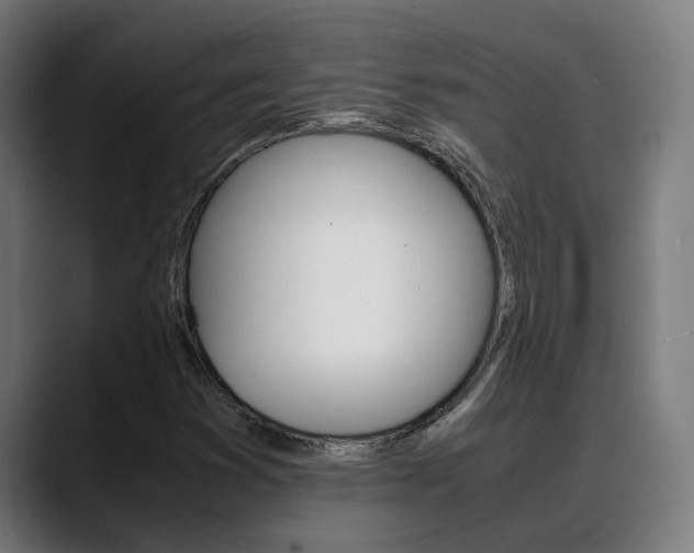 X0000088641353200705250910