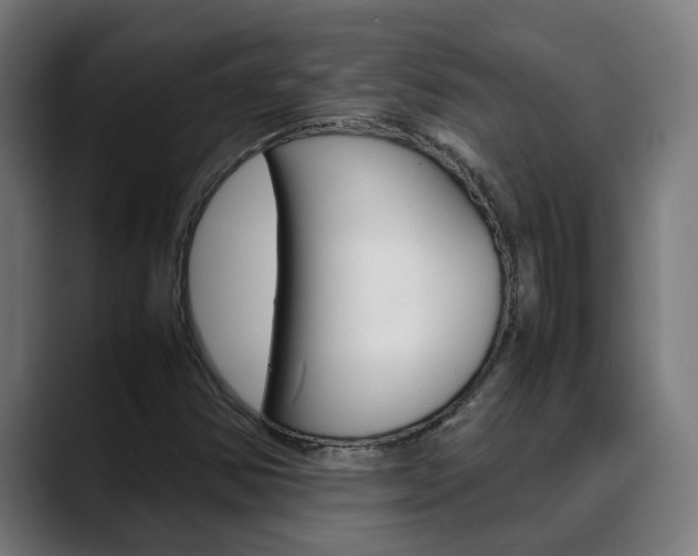 X0000088641354200705250910