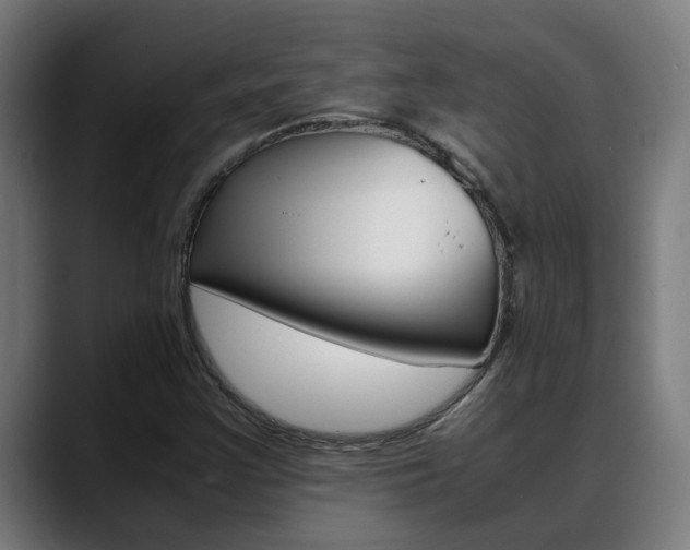 X0000088641355200705250910