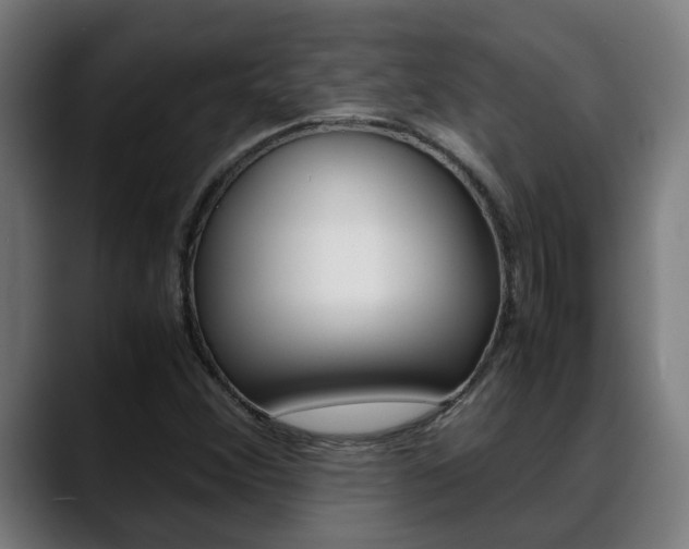 X0000088641356200705250910