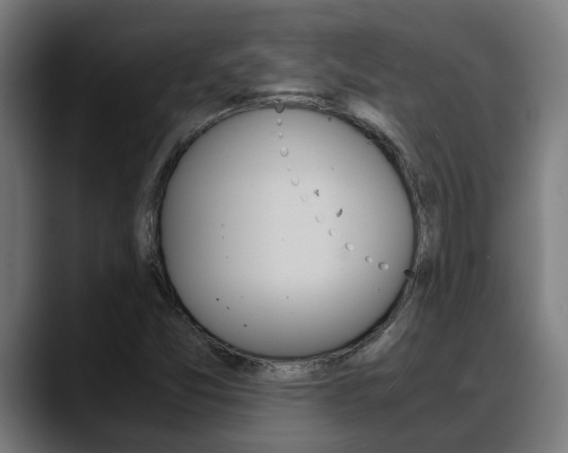 X0000088641357200705250910