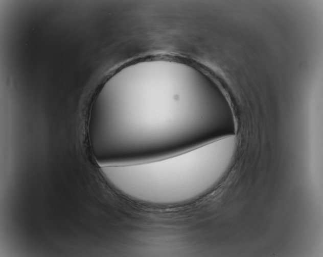 X0000088641359200705250910
