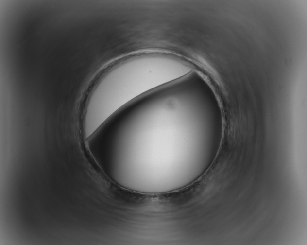 X0000088641360200705250910