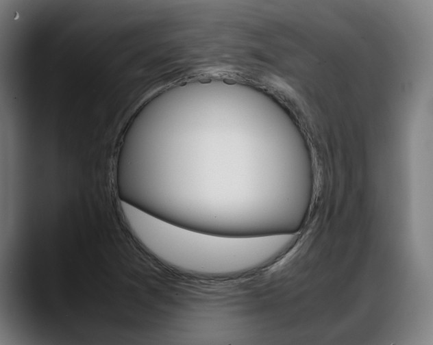 X0000088641361200705250910