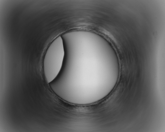 X0000088641362200705250910