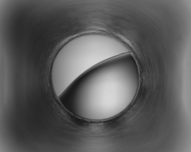 X0000088641363200705250910