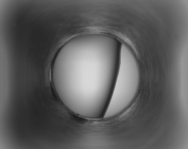 X0000088641365200705250910