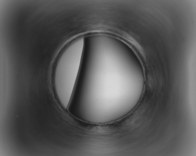 X0000088641368200705250910