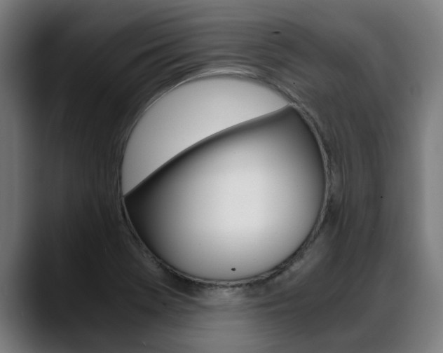 X0000088641369200705250910