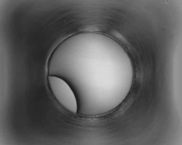 X0000088641370200705250910