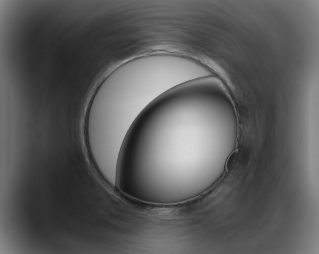 X0000088641373200705250910