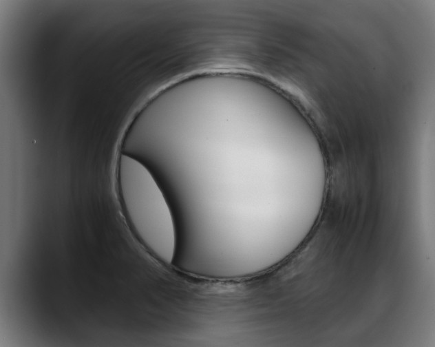 X0000088641374200705250910