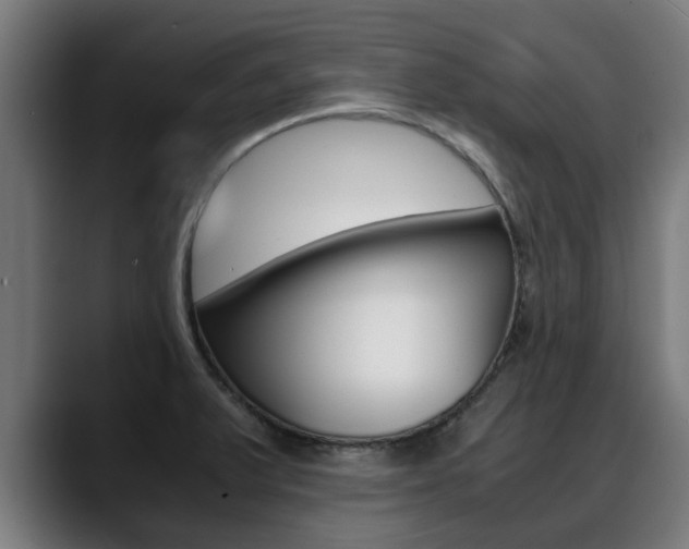 X0000088641375200705250910