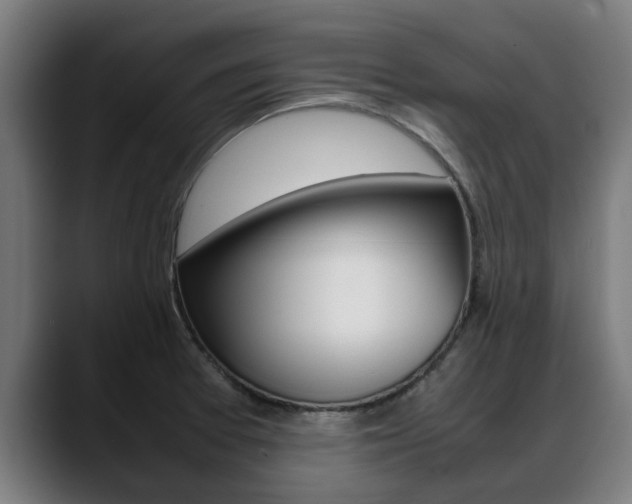 X0000088641377200705250910