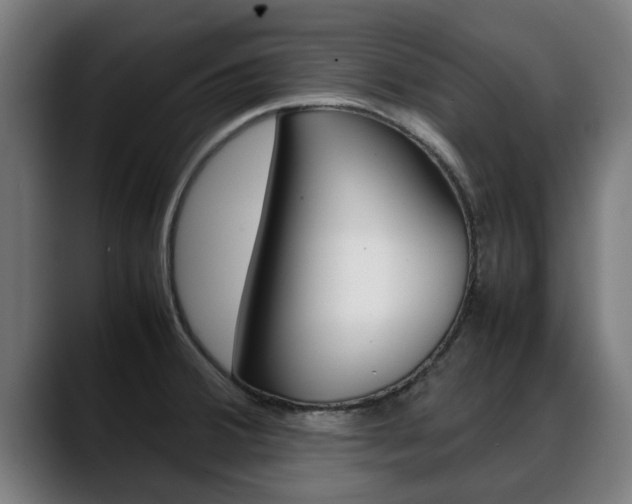 X0000088641380200705250910