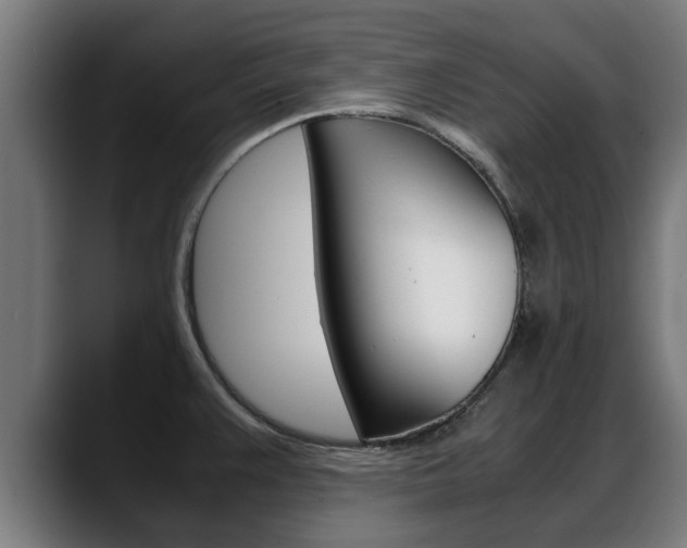 X0000088641383200705250910