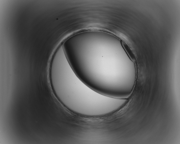 X0000088641384200705250910