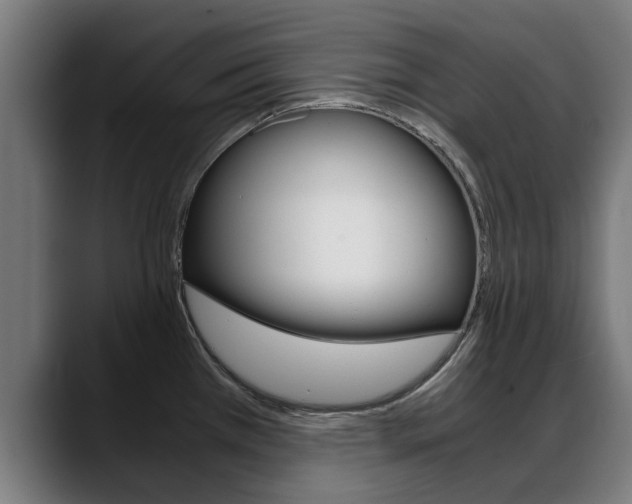 X0000088641385200705250910
