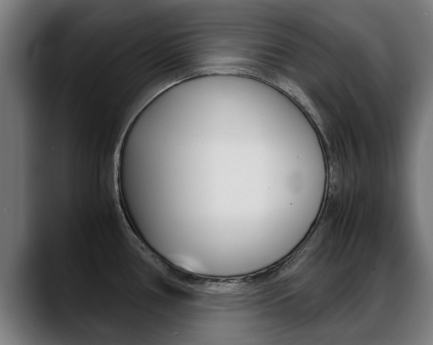 X0000088641386200705250910
