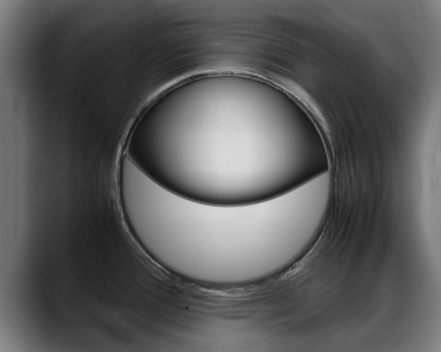 X0000088641388200705250909