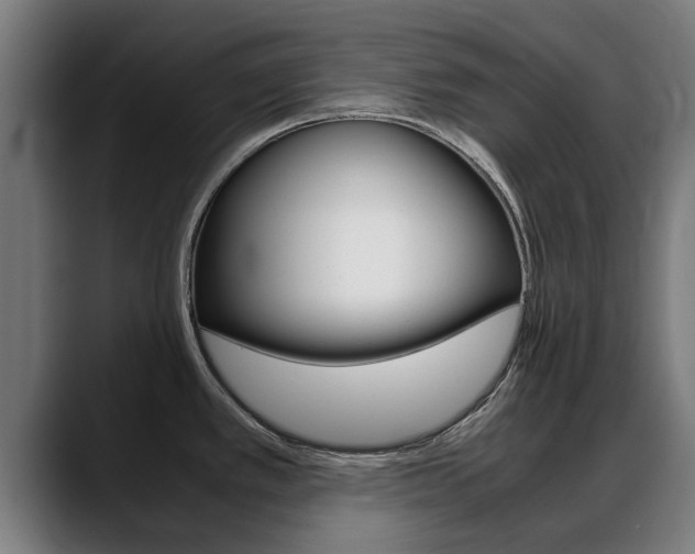 X0000088641389200705250909