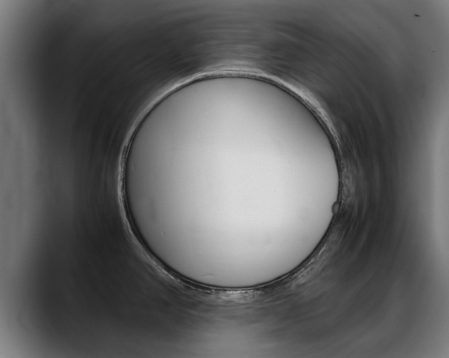 X0000088641390200705250909