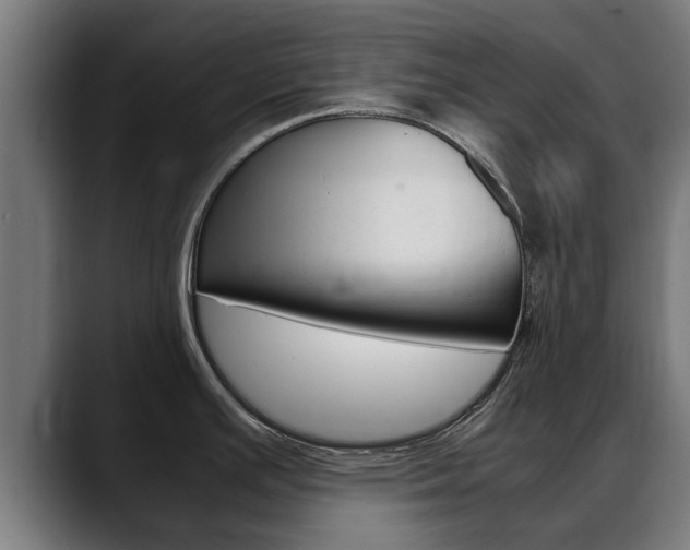 X0000088641391200705250909