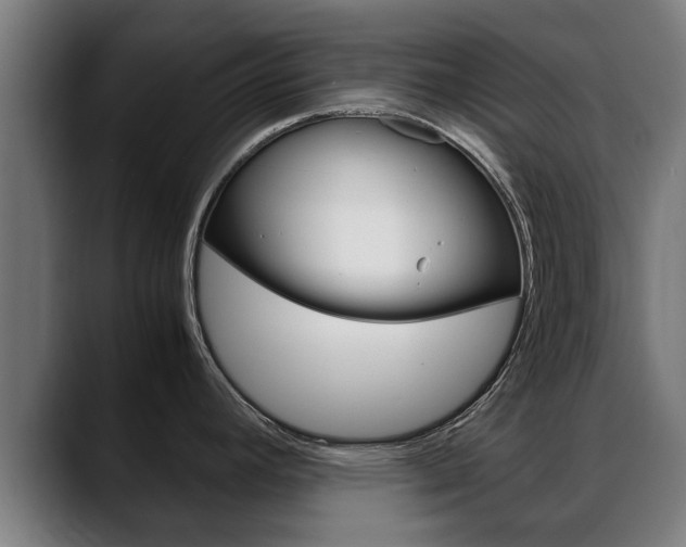 X0000088641392200705250909