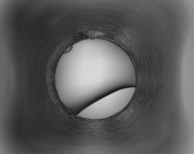 X0000088641393200705250909