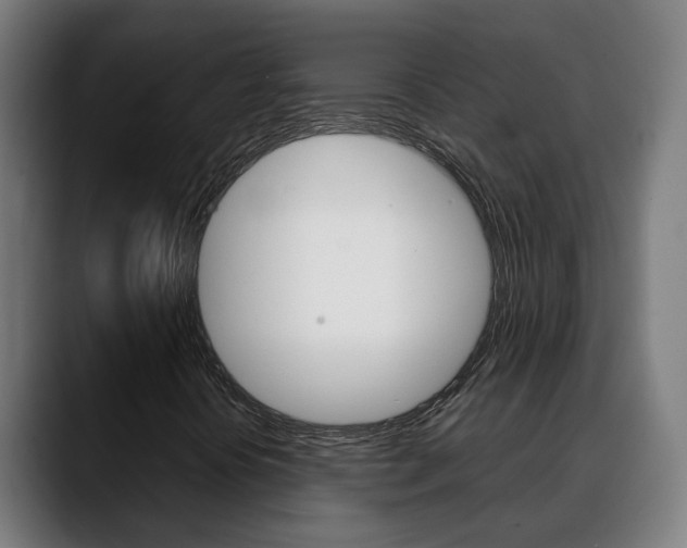 X0000088641394200705250909