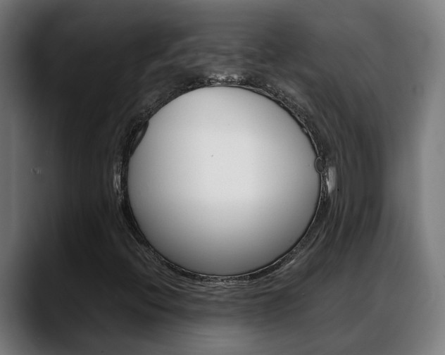X0000088641396200705250909
