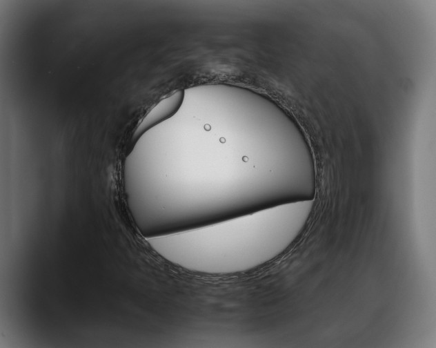 X0000088641397200705250909