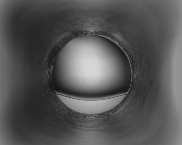X0000088641398200705250909