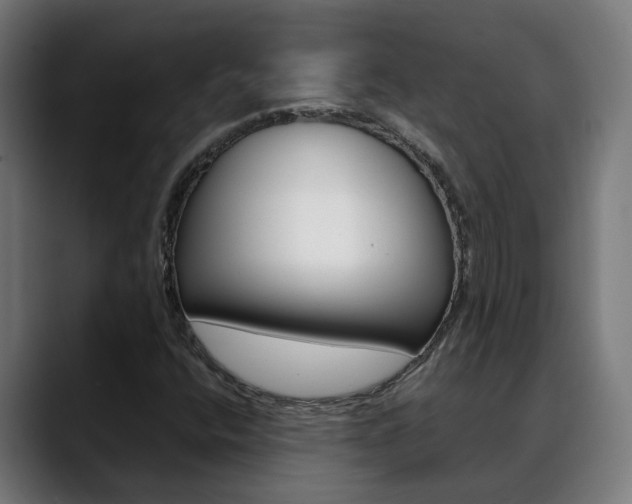 X0000088641400200705250909