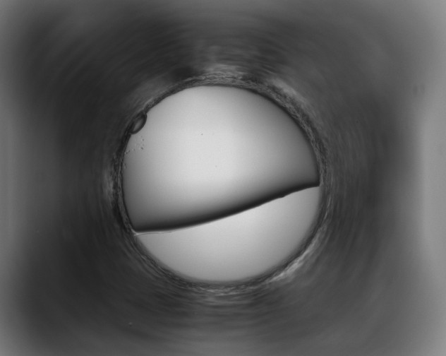 X0000088641401200705250909