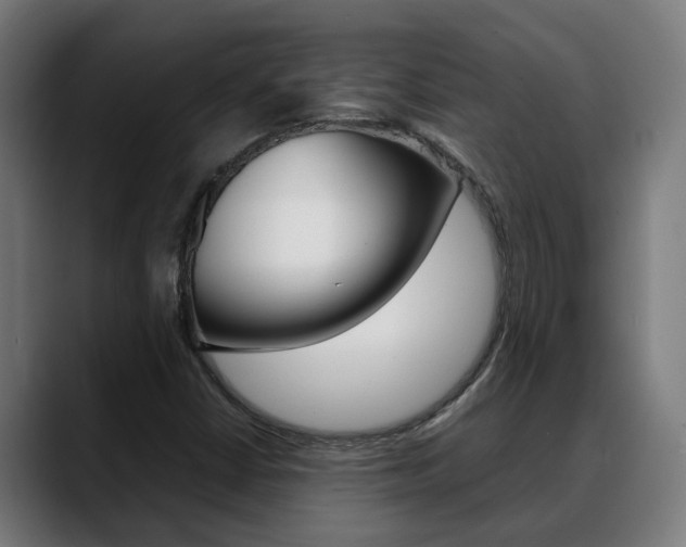 X0000088641402200705250909