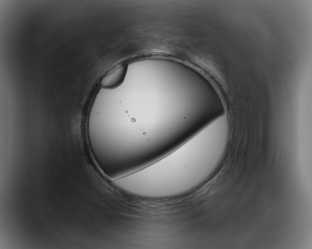 X0000088641404200705250909