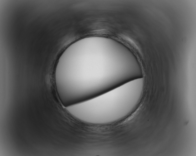 X0000088641405200705250909