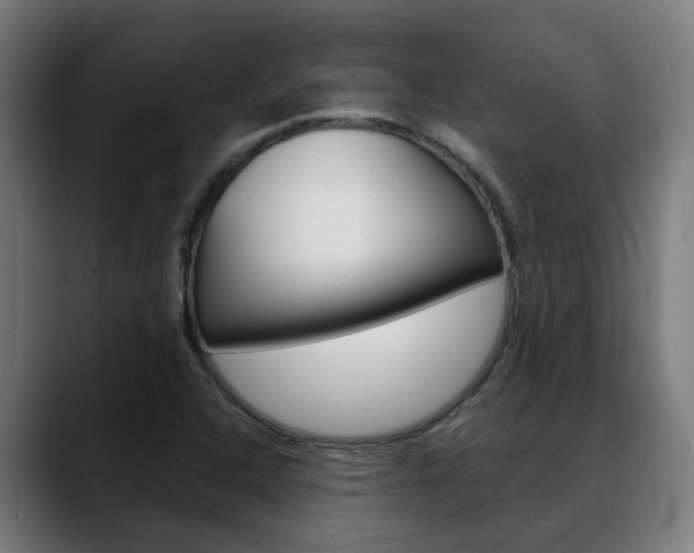 X0000088641408200705250909