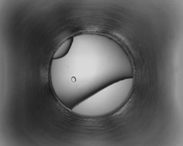 X0000088641409200705250909