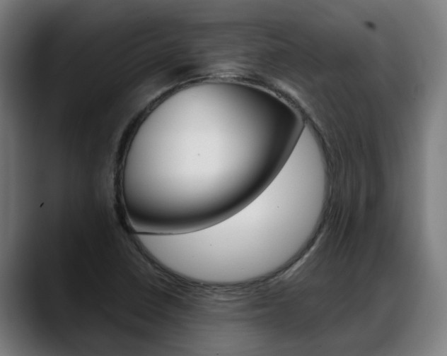 X0000088641410200705250909