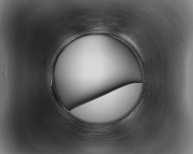 X0000088641413200705250909